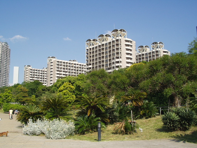 img0000.jpg