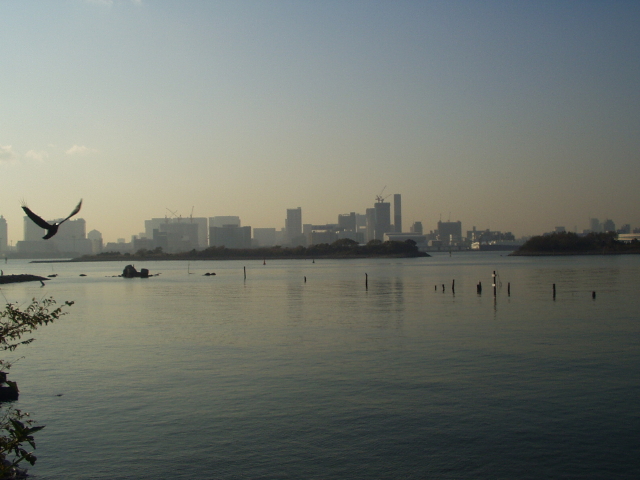 img0007.jpg