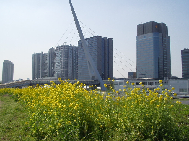 img0046.jpg