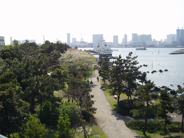 img0055.jpg