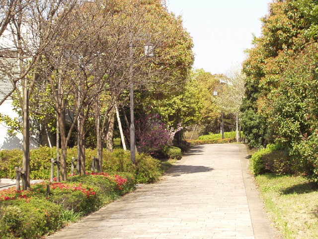 img0066.jpg