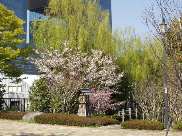 img0067.jpg