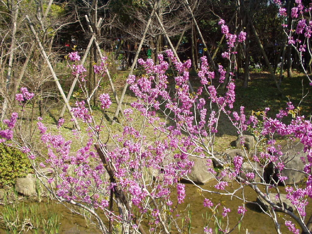 img0070.jpg