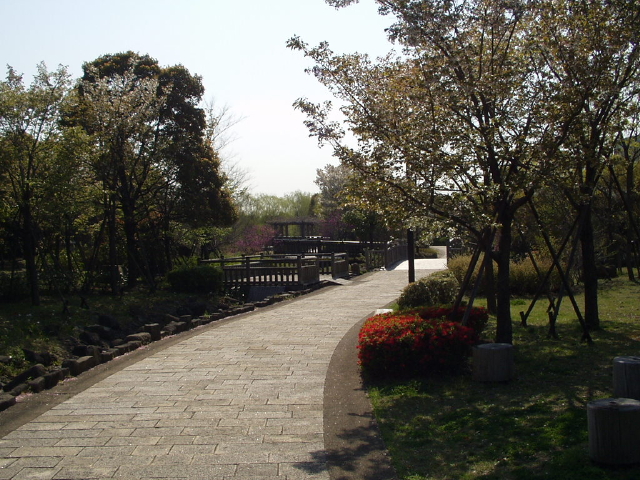 img0072.jpg