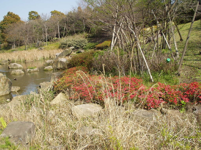 img0074.jpg