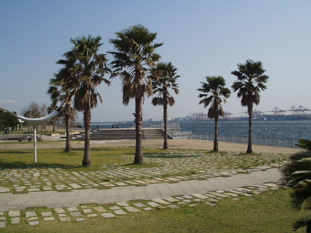img0077.jpg