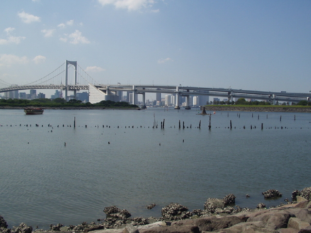 img0085.jpg