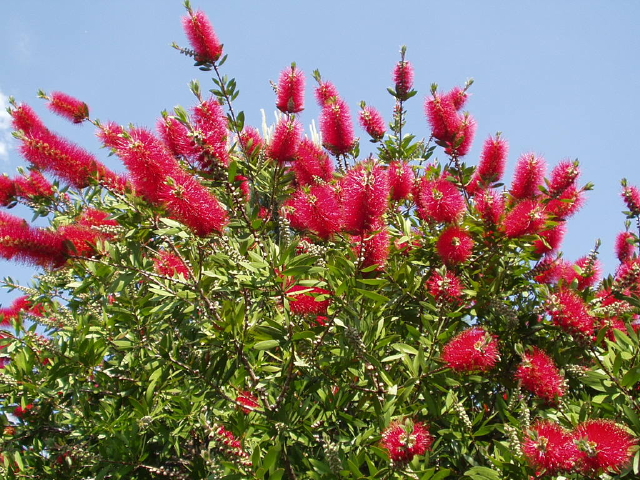 img0086.jpg