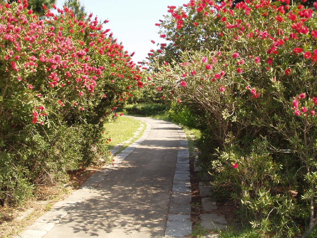 img0087.jpg