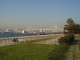 img0010.jpg