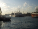 img0015.jpg