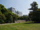 img0042.jpg