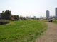 img0045.jpg