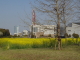 img0061.jpg