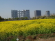 img0063.jpg