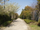 img0065.jpg