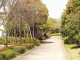 img0066.jpg