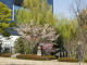 img0067.jpg