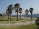 img0077.jpg
