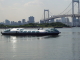img0096.jpg