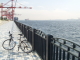 img0105.jpg