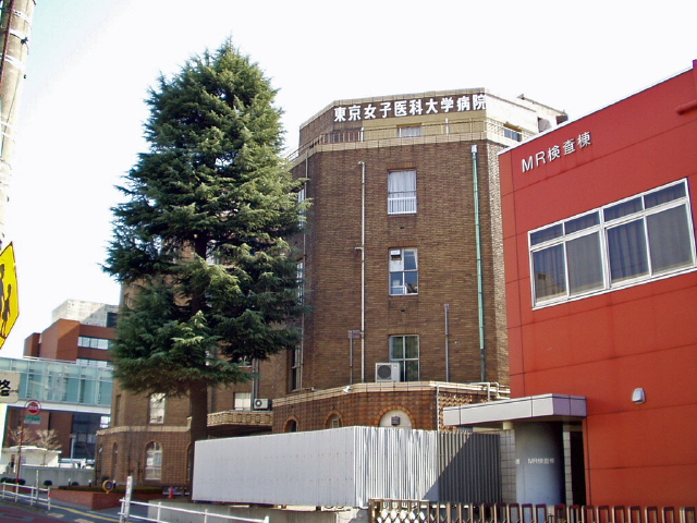 img0009.jpg