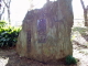 img0015.jpg