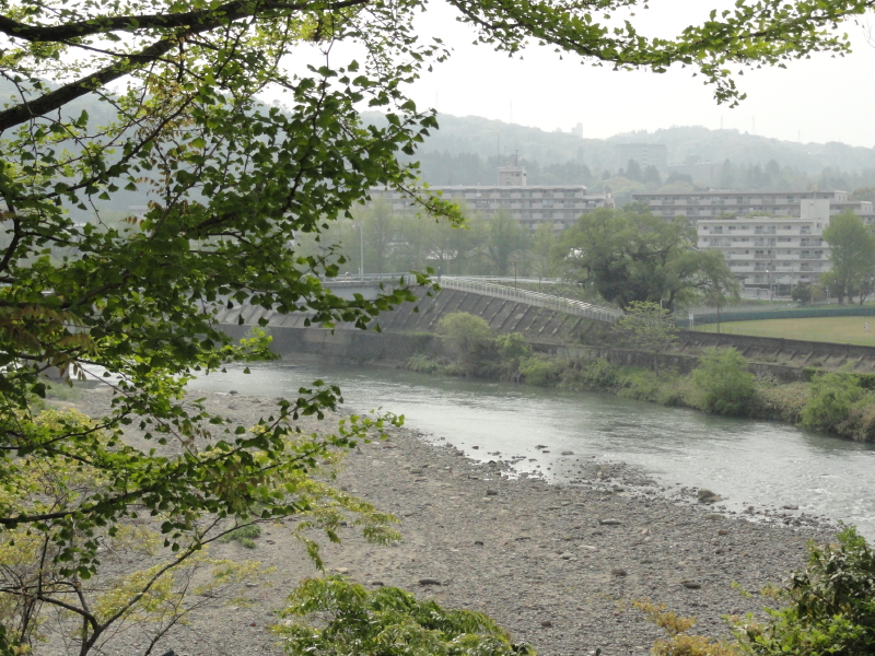 img0004.jpg