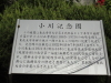 img0001.jpg