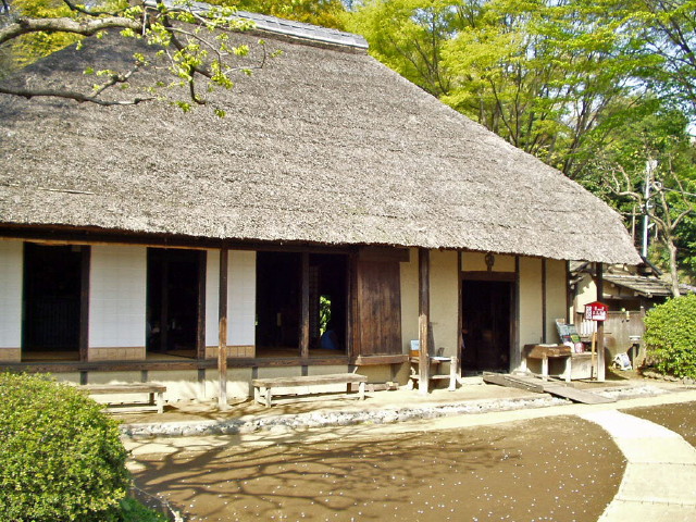 img0000.jpg