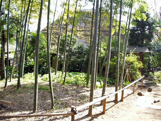 img0004.jpg