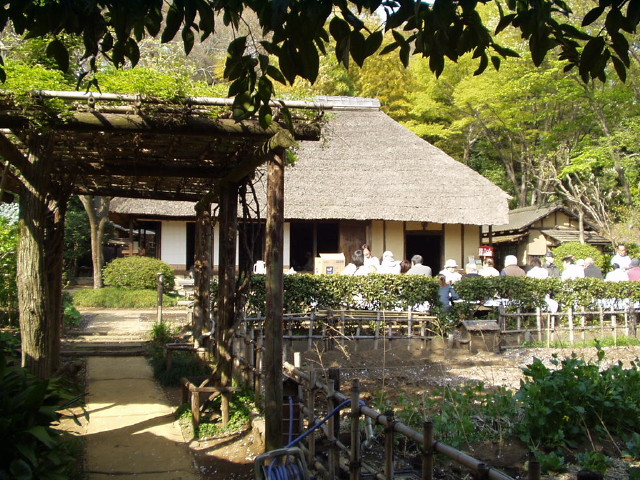 img0009.jpg