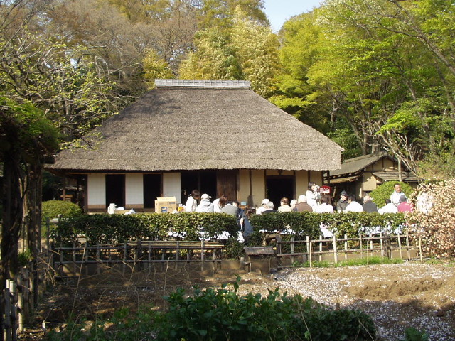 img0010.jpg