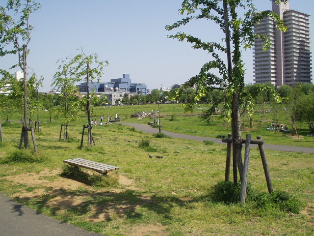 img0003.jpg
