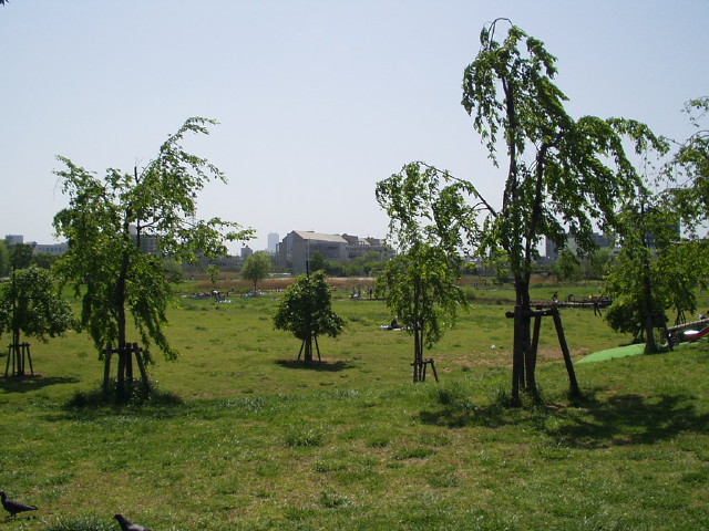 img0006.jpg