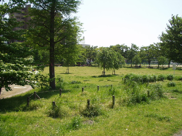 img0009.jpg