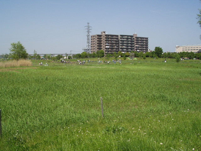 img0010.jpg