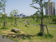 img0003.jpg