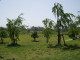 img0006.jpg