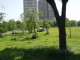 img0007.jpg