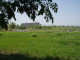 img0008.jpg