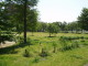 img0009.jpg