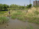 img0011.jpg