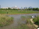 img0012.jpg