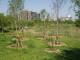 img0013.jpg