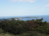 img0007.jpg
