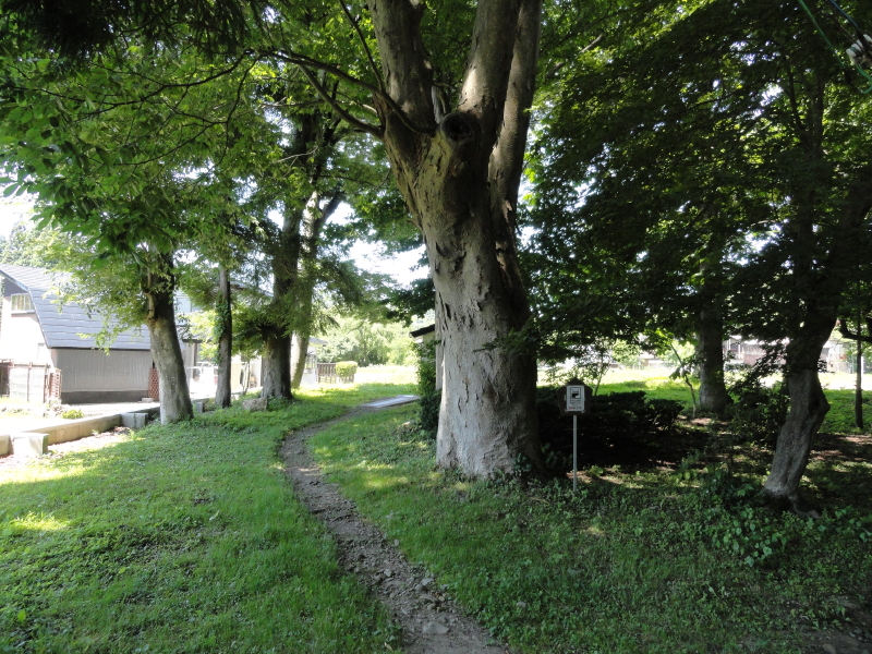 img0006.jpg