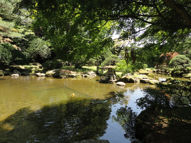 img0012.jpg