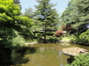 img0017.jpg
