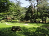 img0027.jpg